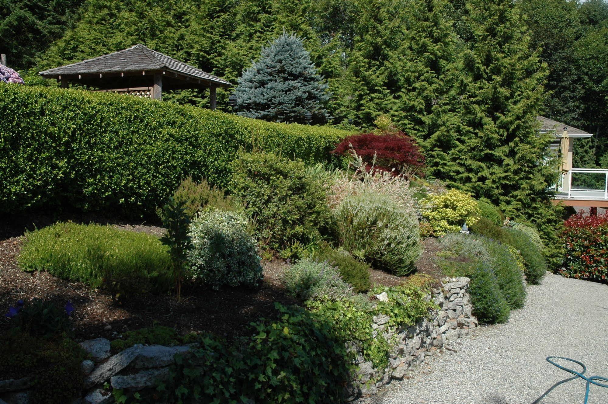 At The Shore Bed And Breakfast Sechelt Luaran gambar